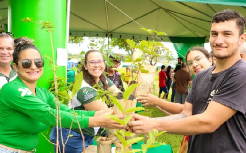 Senador Canedo Verde: AMMA intensifica doação de mudas e aproveita temporada de chuvas