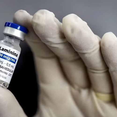 Pesquisadora da Universidade Federal do Rio de Janeiro lidera avanço que pode revolucionar o tratamento de lesões na medula espinhal