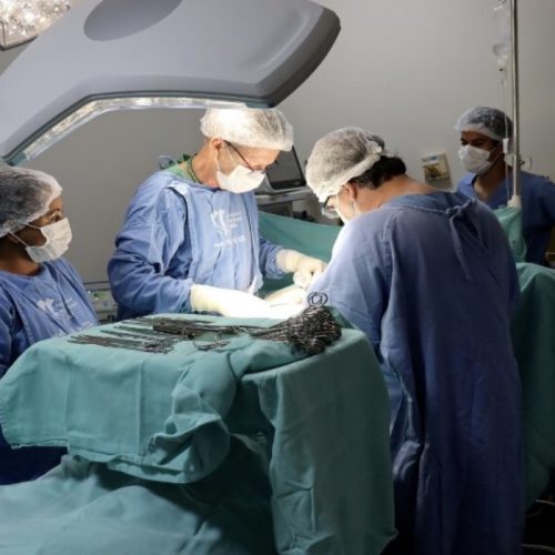 🧬📈 Goiás registra alta de 25% nos transplantes de medula óssea em 2025
