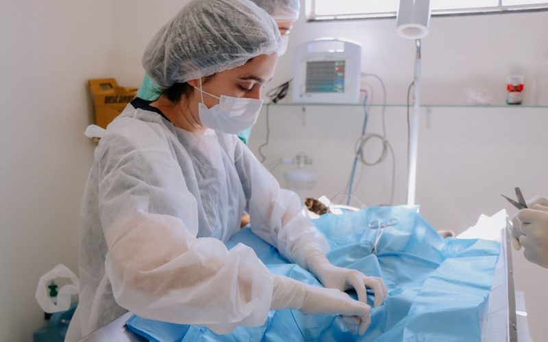 Senador Canedo já castrou 500 animais em 2026 e reforça política de proteção animal