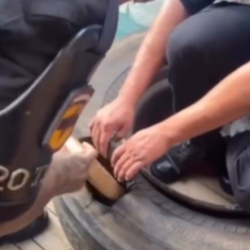 Operação da Rotam recupera veículo roubado e prende sete pessoas suspeitas de envolvimento por tráfico de drogas em Senador Canedo